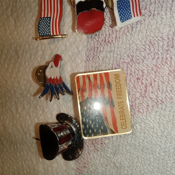 Patriotic Pin Collection - Picture 5 of 6